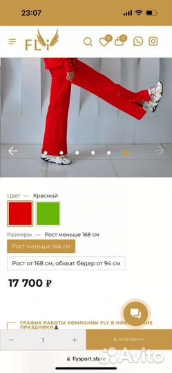 Спортивный костюм fly