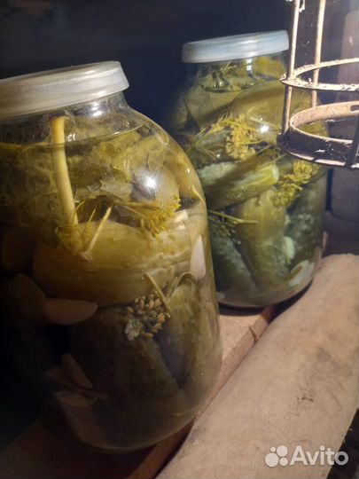 Огурцы соленые