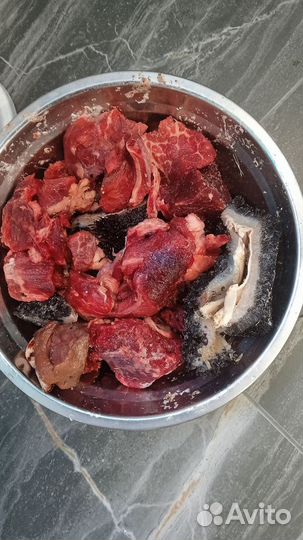 Мясо говядина для собак