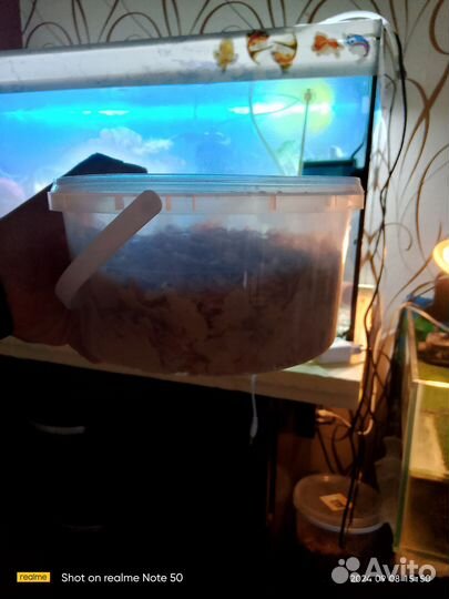 Корм для рыбок хлопья