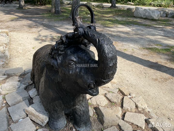 Наушники marshall major 4