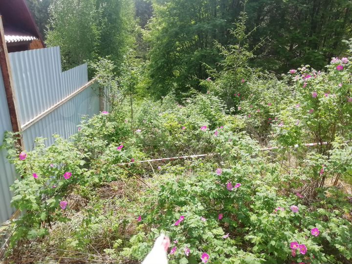 Участок 16,2 сот. (СНТ, ДНП)