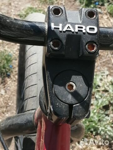 Мясо кролика