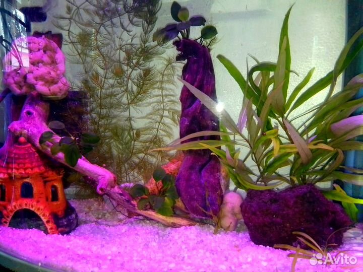 Продам полностью готовый аквариум
