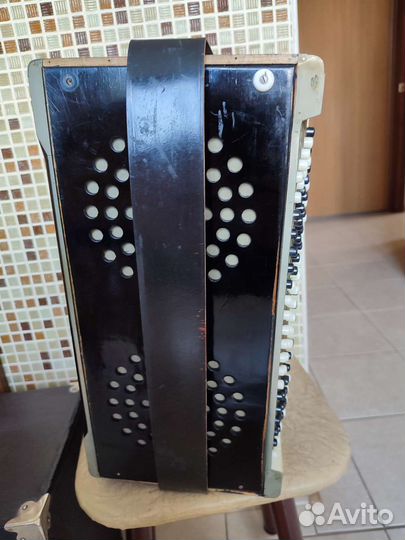 Баян Тульский