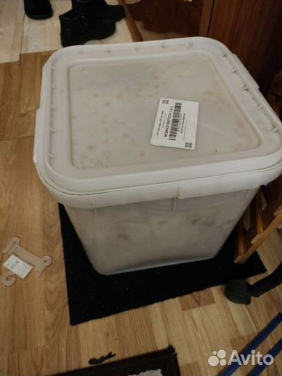 Алтайский край мед