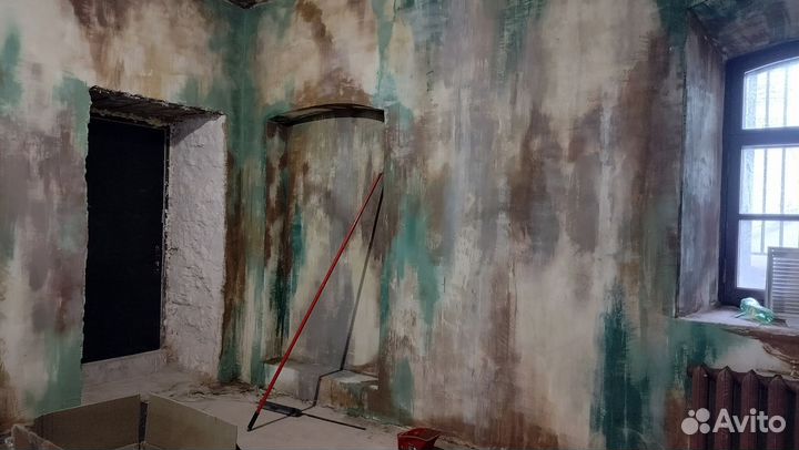 Роспись стен / граффити / живопись / художник