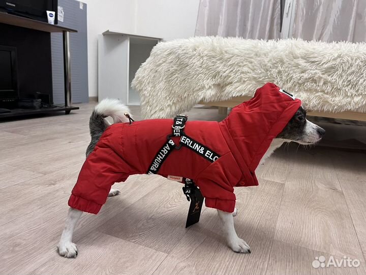 Комбинезон демисезон новый для собачки мал