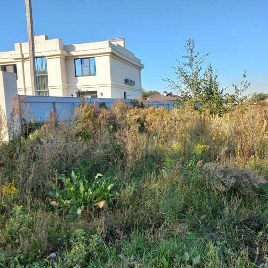 Участок 15,5 сот. (ИЖС)