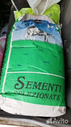 Кормовая свекла, полусахарная. Туйм