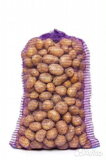 Продам картофель сетками