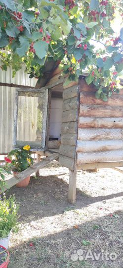 Курятник домик