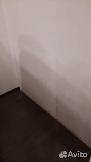 Удаление/ Обработка Плесени/ Дезинсекция