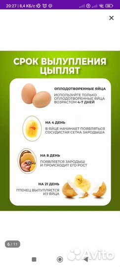 Домики, гнёзда, инкубатор