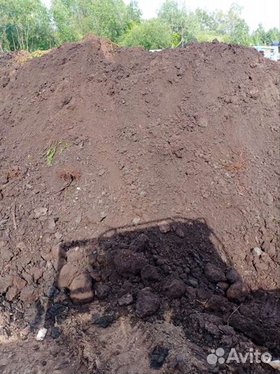 Торф низинный