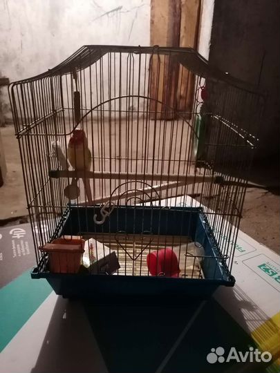 Клетка для птиц