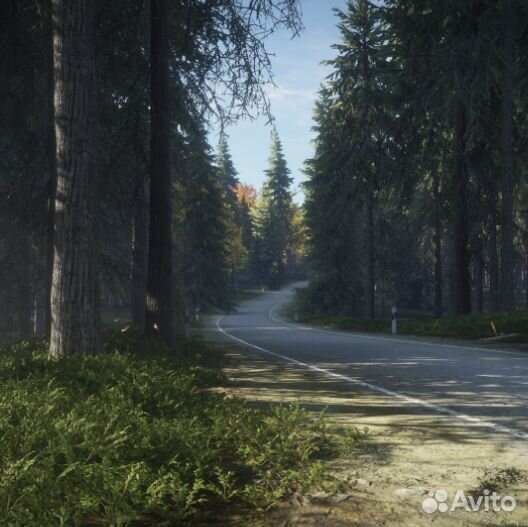 TheHunter: Call of the Wild для Xbox One, S, X ключ