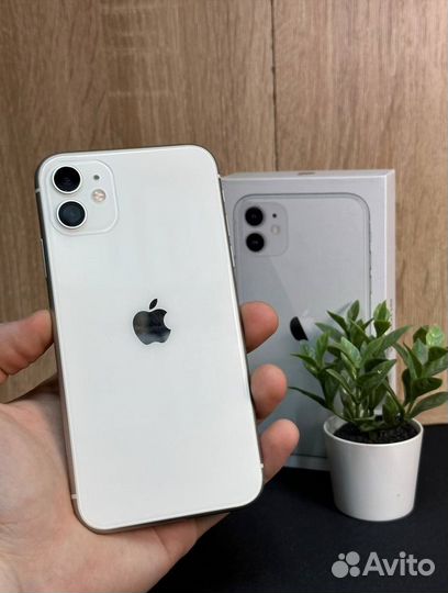 iPhone 11, 256 ГБ