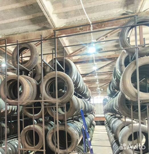 Vredestein Wintrac Xtreme S 215/55 R17 98N