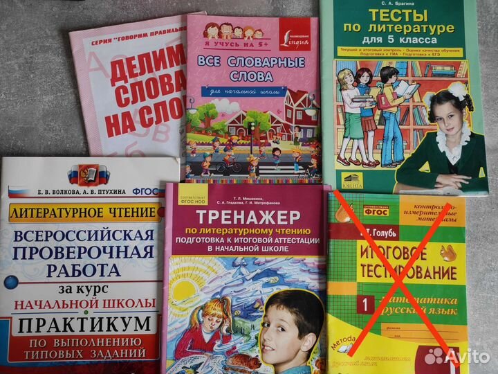 Умк эльконин давыдов комплект учебников. Развитие речи учебное пособие. Книги по развитию. Система л в занкова в начальной школе. Зыкова т.