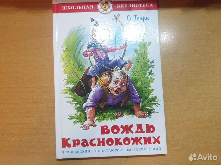 Отзыв на рассказ вождь краснокожих.