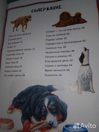 Энциклопедия для детей 