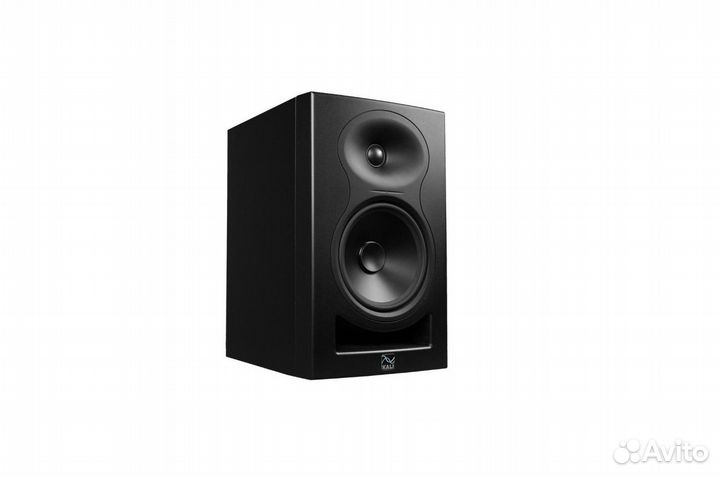 Караоке для дома Evobox с микрофонами и колонками