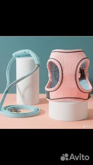 Шлейка для маленькой собаки