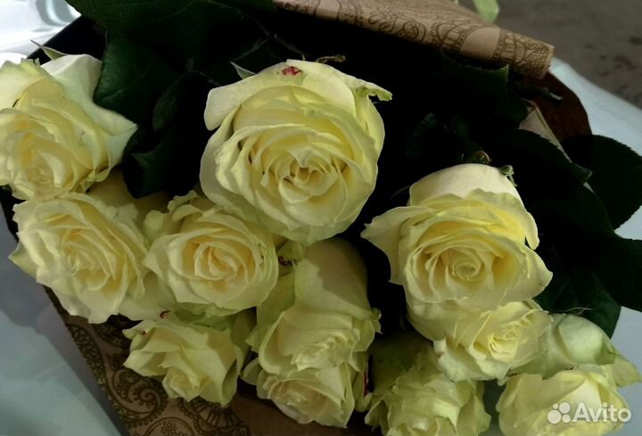 Розы, букет цветов