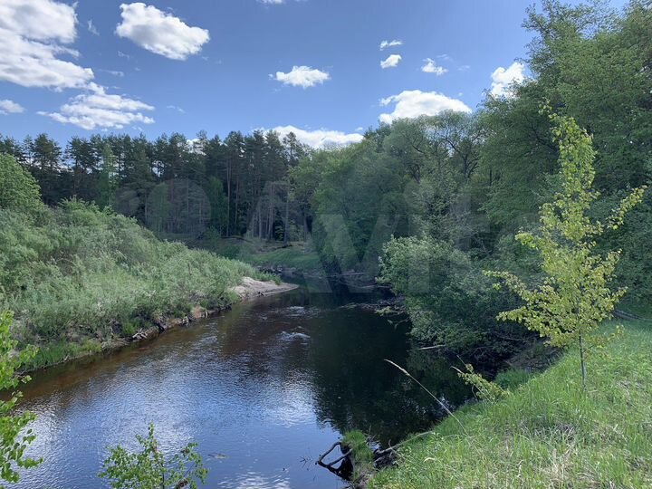 Участок 51 сот. (ИЖС)