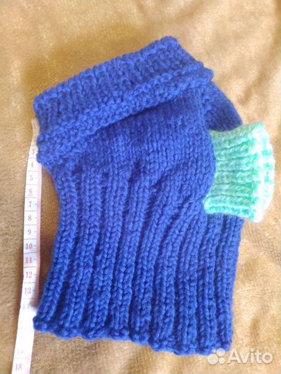 Одежда для собак