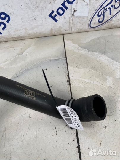 Патрубок радиатора нижний Ford Focus 3 CB8 1.6