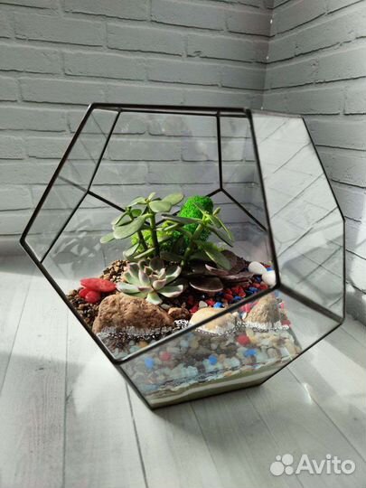 Флорариум, подарок, декор в интерьер
