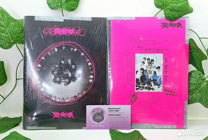 K-pop альбом Stray Kids - Rock Star (regular ver.)