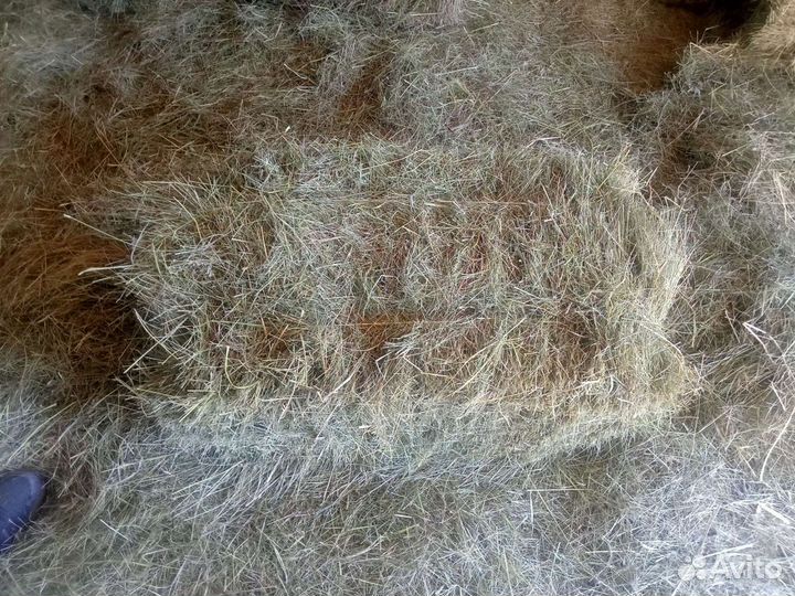 Сено в тюках