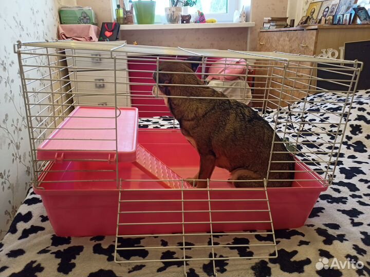 Клетка для морских свинок или кроликов