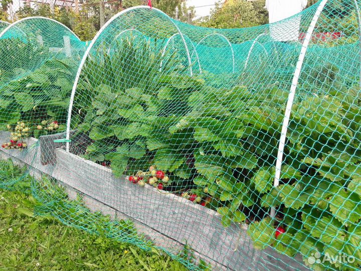 Сетка пластиковая садовая