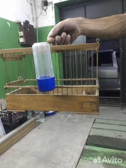 Клетка для кенара