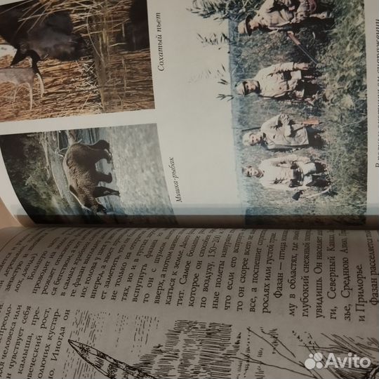 Большая энциклопедия охоты Г. Лучков