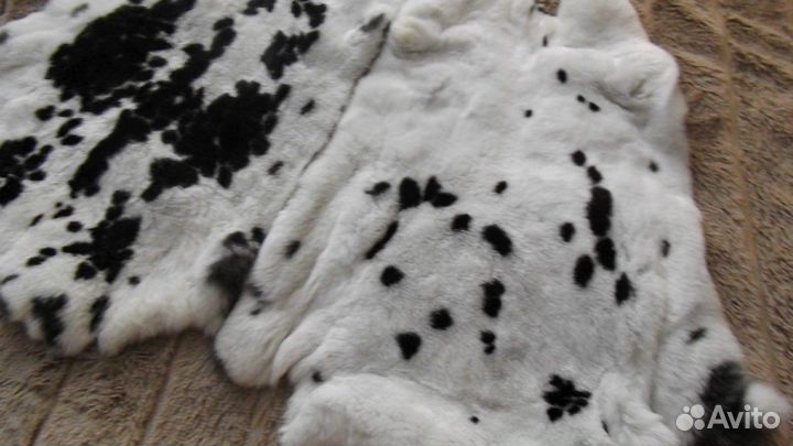 Мех кролика рекс