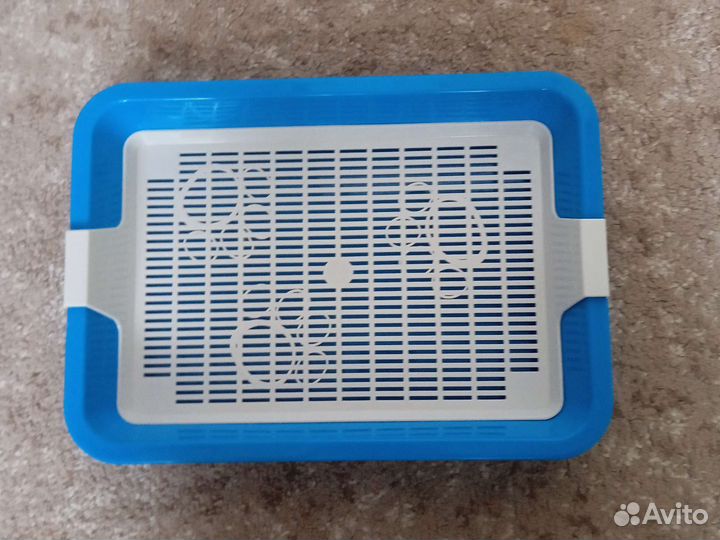 Лоток для котят