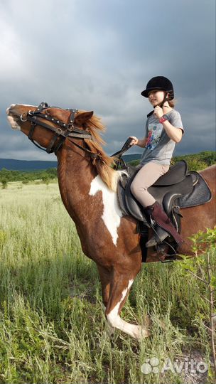 Конные прогулки г Новороссийск ст Натухаевскся