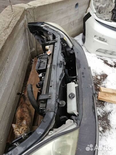 Ноускат бампер фары lexus ls