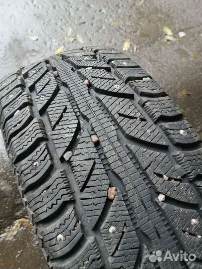 Cooper Weather-Master WSC 205/55 R16
