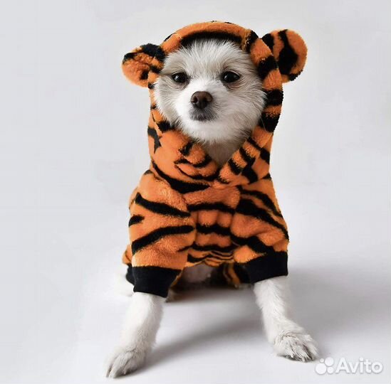 Одежда для собак
