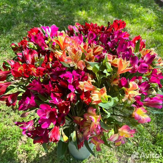 Букет из альстромерий