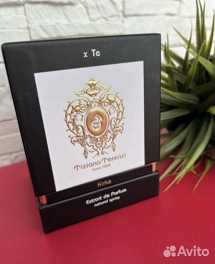 Kirke tiziana Terenzi