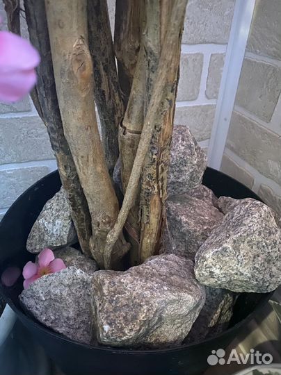 Сакура искуственная 1,8