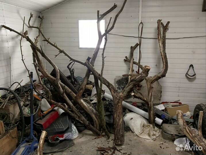 Коряги для интерьера