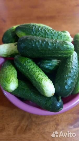 Груши, оурцы, кабачки, тыква